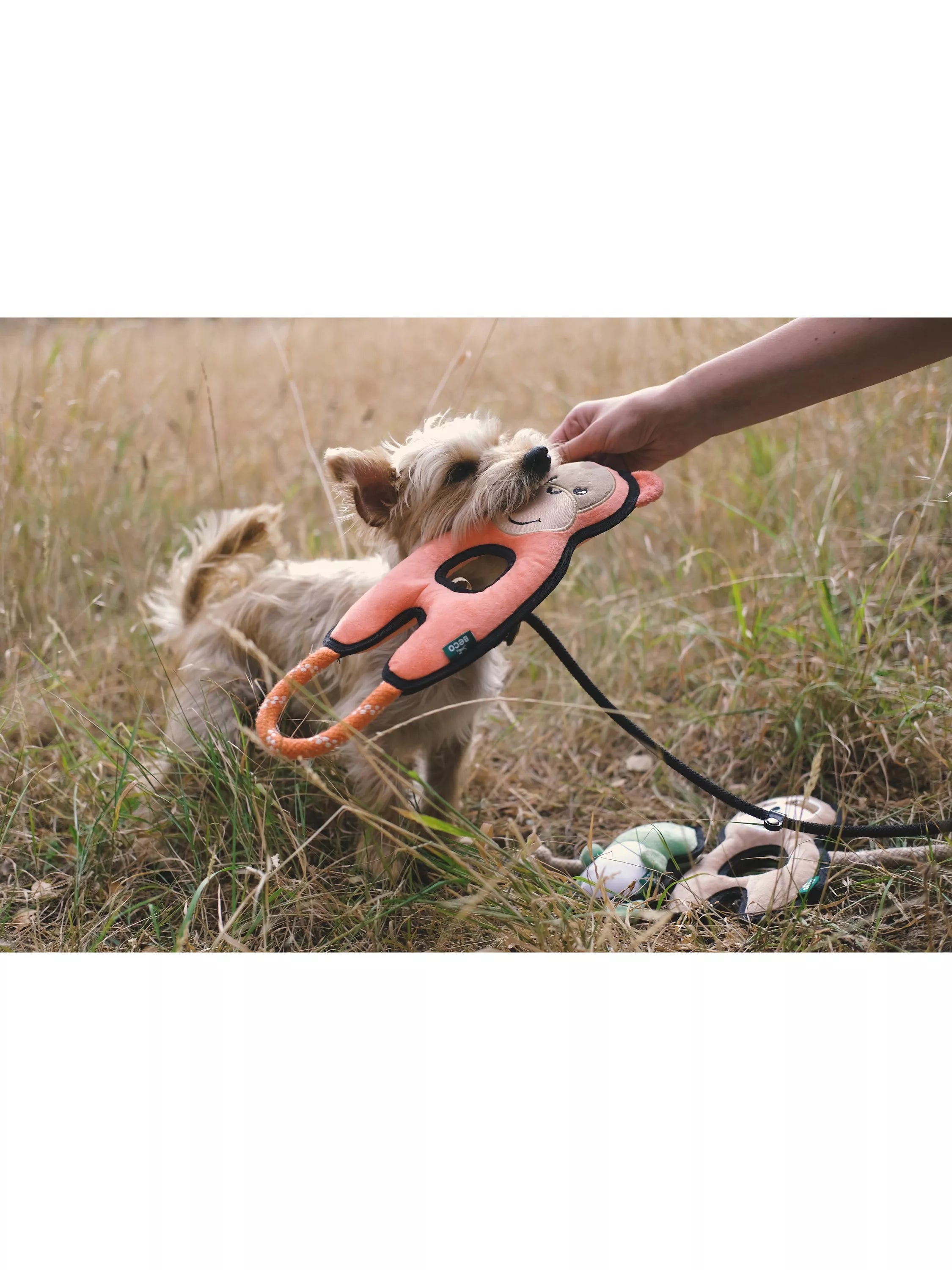 Beco Pets Orangutan dog toy orange, imported from the UK