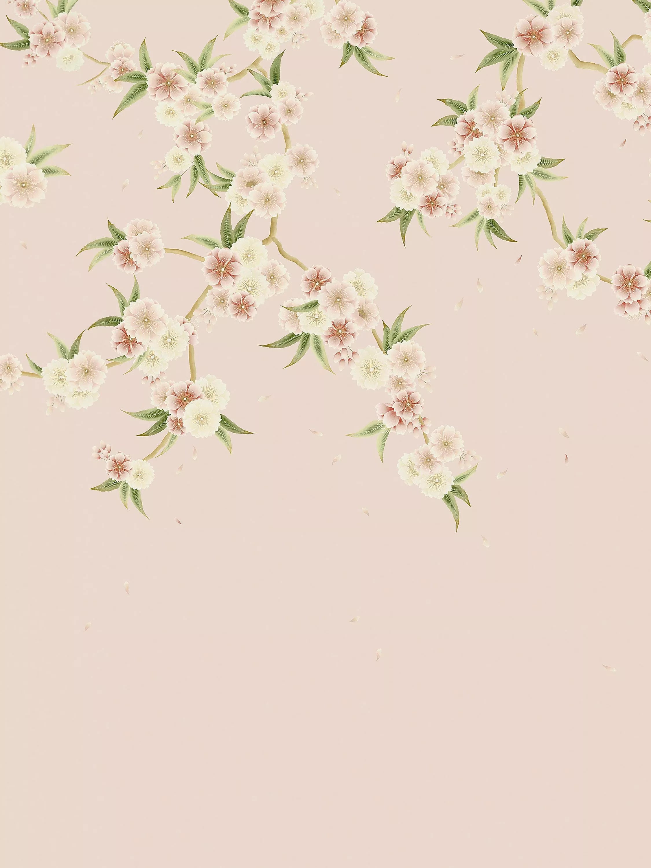 Harlequin x Diane Hill Rosa Tapetenpaneel mit Kirschblüten, UK-Version