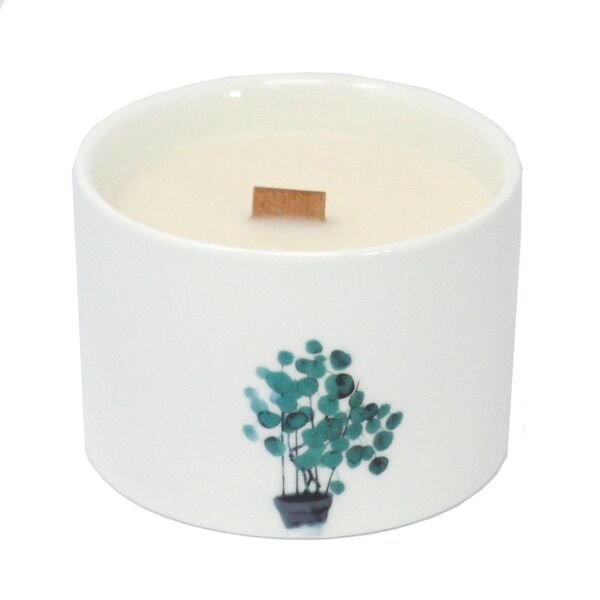 Serenityy Med Mulberry Harvest candle (British brand)