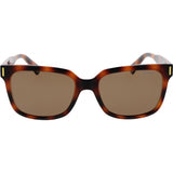 Polaroid Brown PLD 6191 S sunglasses 54, UK version