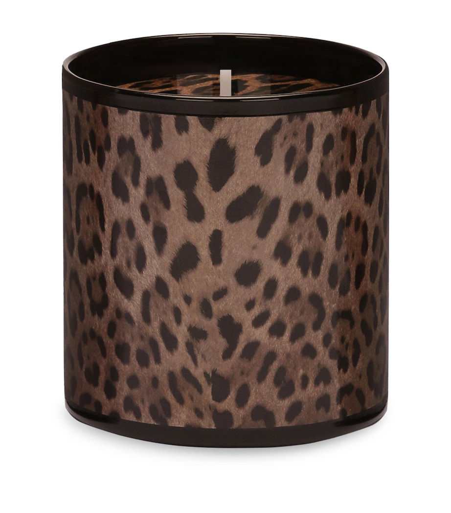Dolce&Gabbana Casa Leopardo Patchouli Candle 380g - British product
