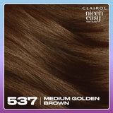 Clairol Nice'N Easy Tone+Gloss hair dye medium golden brown, UK version