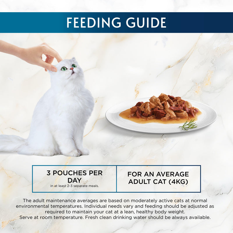 Gourmet cat food Ocean Collection 40x85g, UK version