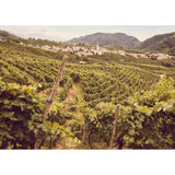 Della Vite Valdobbiadene Prosecco Superiore D.O.C.G 75cl, UK version