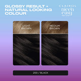 Clairol Nice'N Easy Tone+Gloss Black 200/83 hair dye - British product