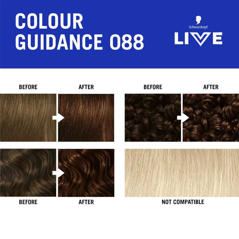 Schwarzkopf Urban Brown permanent hair dye kit (British brand)