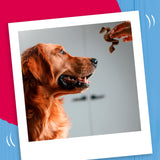 Bakers Sizzlers bacon dog treats 90g - British product