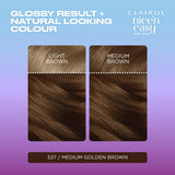Clairol Nice'N Easy Tone+Gloss hair dye medium golden brown, UK version
