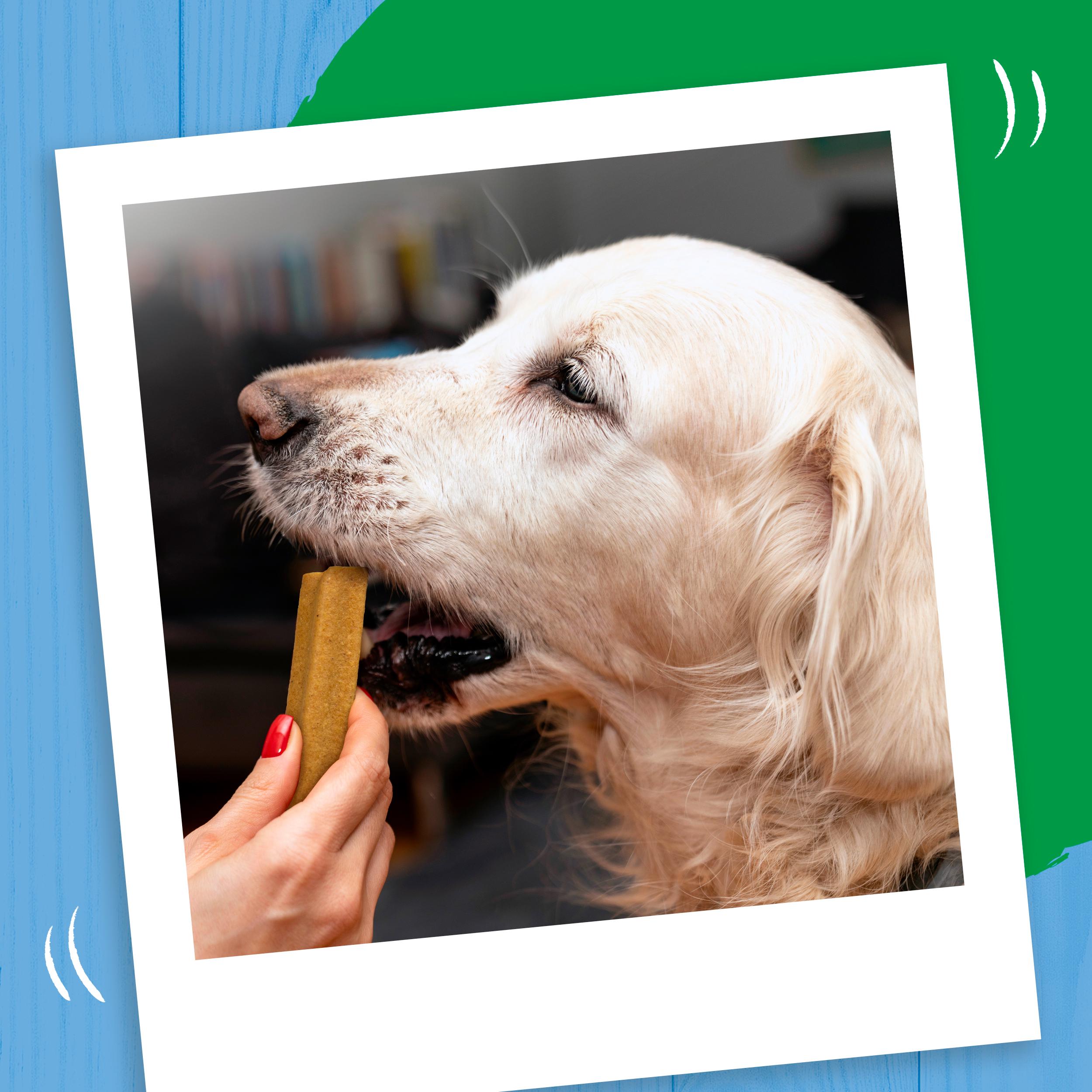 Bakers chicken dog chews joint health 180g - British product