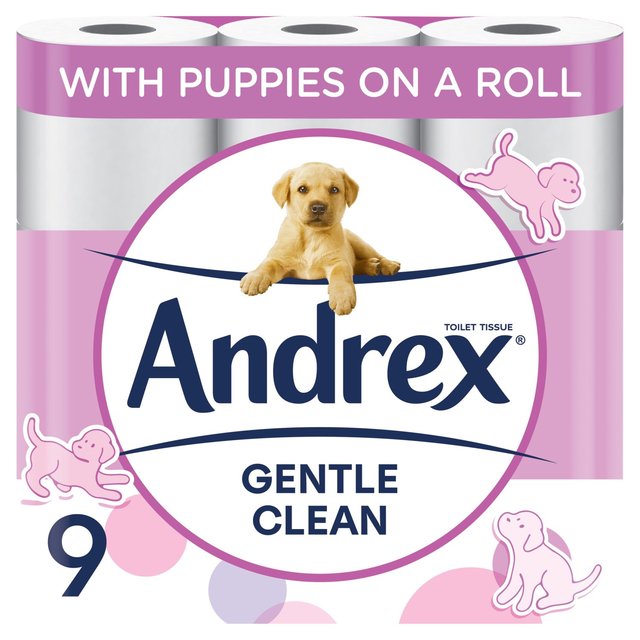 Andrex Gentle Clean Toilet Roll   9 per pack