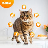 IAMS for Vitality Adult Cat  Food With Lamb   800g GOODS M&S   