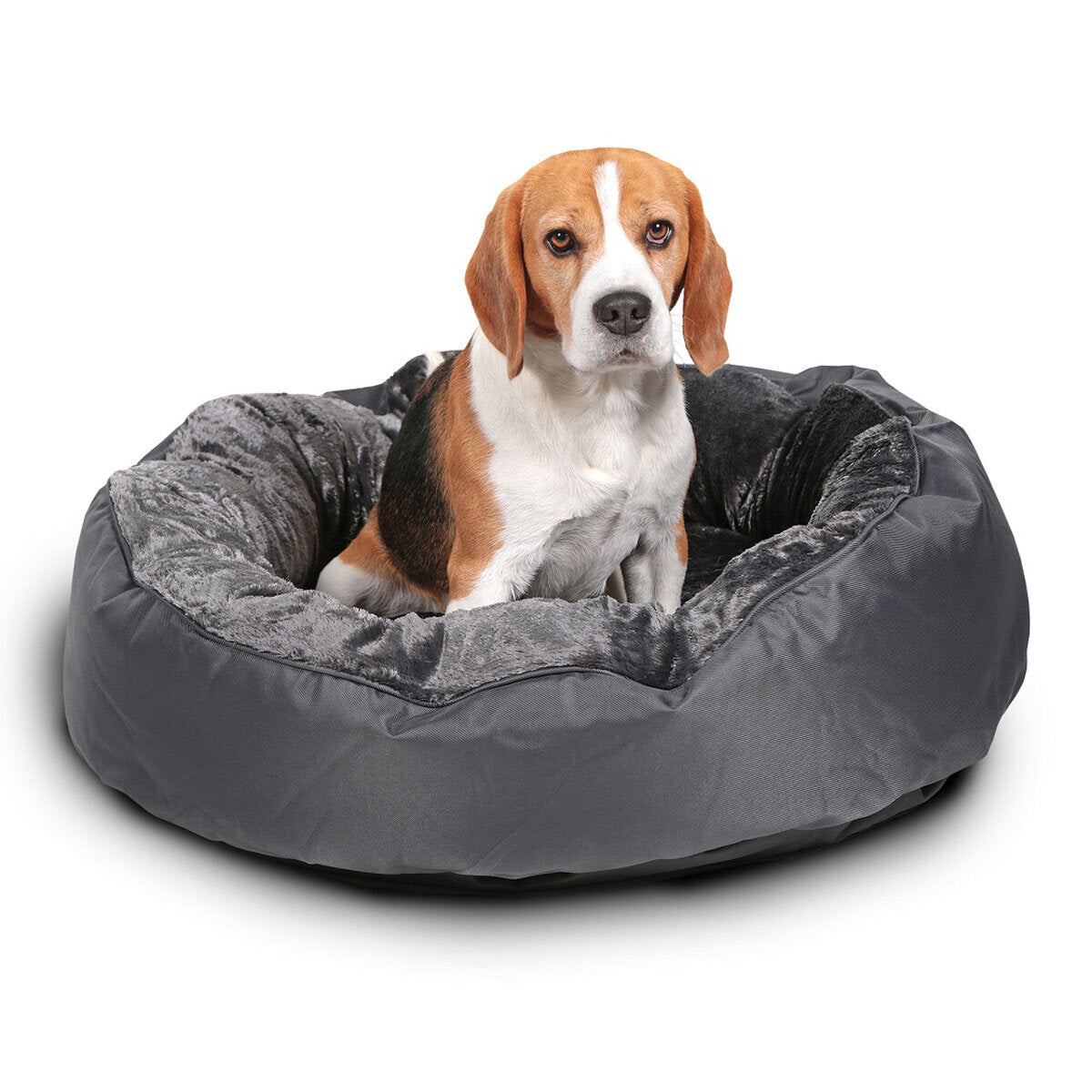Snoozzzeee donut pet bed 8x25 inches, imported from the UK