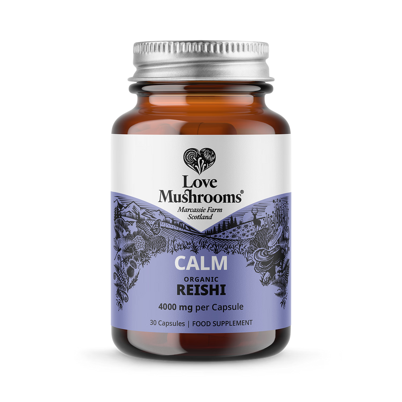 Love Mushroom Reishi 30 capsules 4000mg, imported from the UK