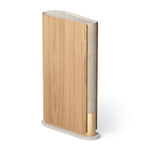 Bang & Olufsen Beosound Emerge AL2 speaker - British product