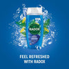 Radox Feel Awake 2-in-1 Shower Gel and Shampoo 225ml - British product