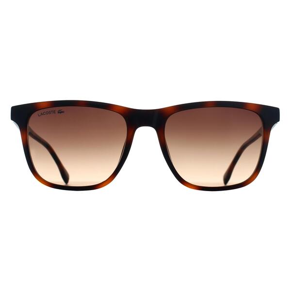 Lacoste L6041S brown gradient men sunglasses (British brand)