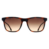 Lacoste L6041S brown gradient men sunglasses (British brand)