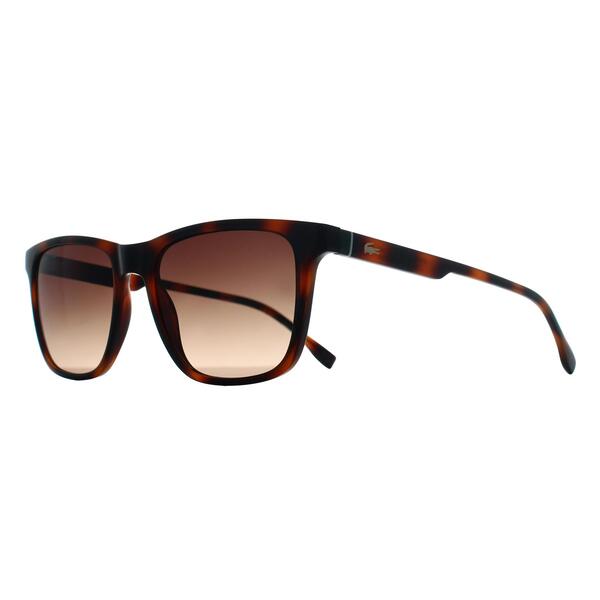 Lacoste L6041S brown gradient men sunglasses (British brand)