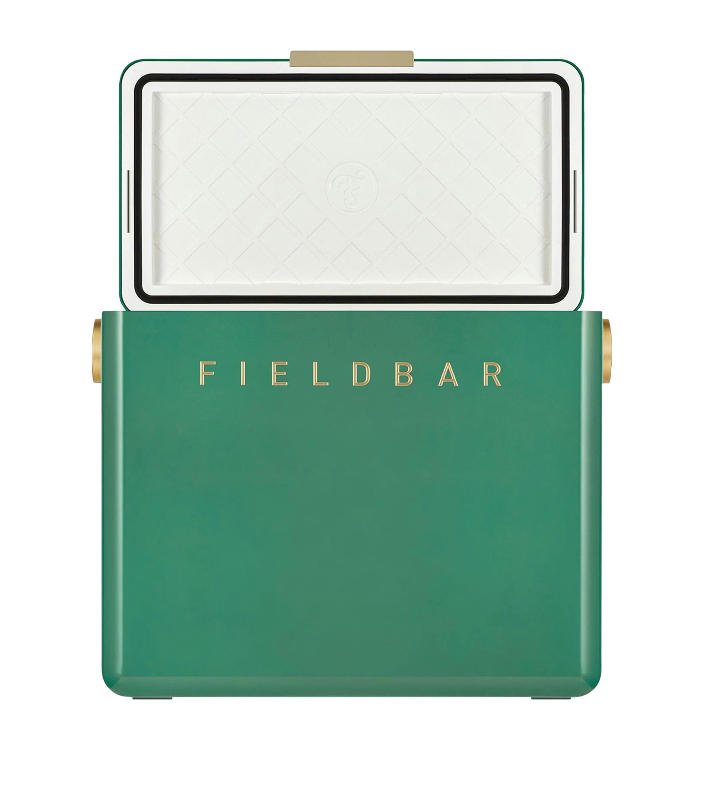Fieldbar gin trunk cooler box - British product