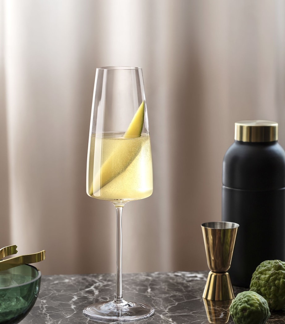 Villeroy & Boch crystal MetroChic champagne flutes 120ml (British brand)
