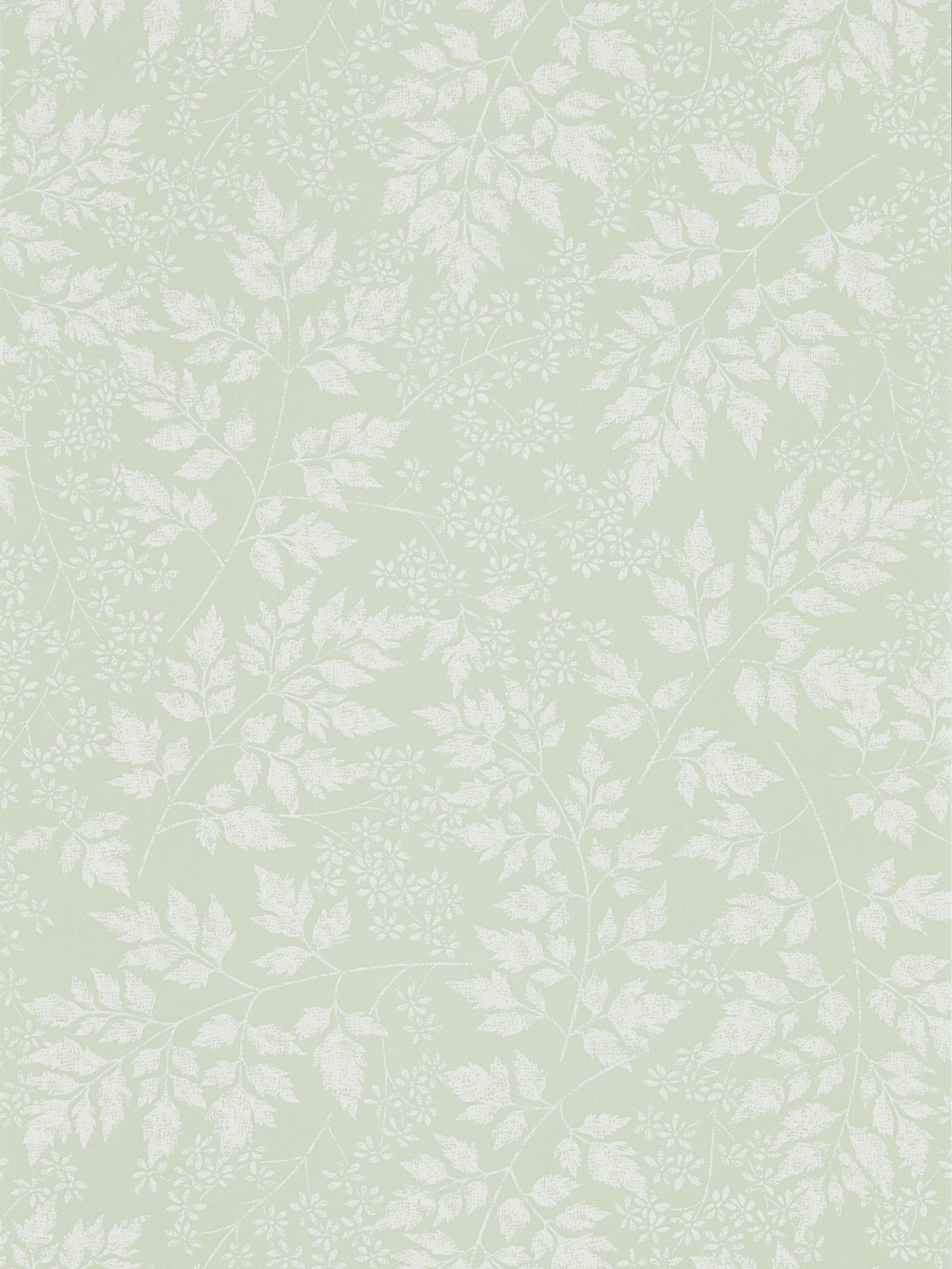 Sanderson Home Green Spring Leaves wallpaper 10.05M - British product