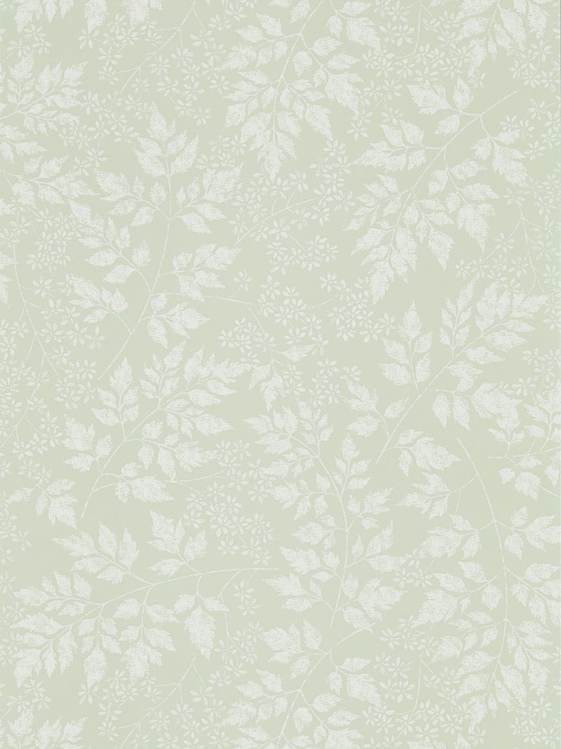 Sanderson Home Green Spring Leaves wallpaper 10.05M - British product