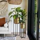 Ivyline Calla gold planter stand with 58cm height and 22cm diameter, UK version