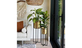 Ivyline Calla gold planter stand with 58cm height and 22cm diameter, UK version