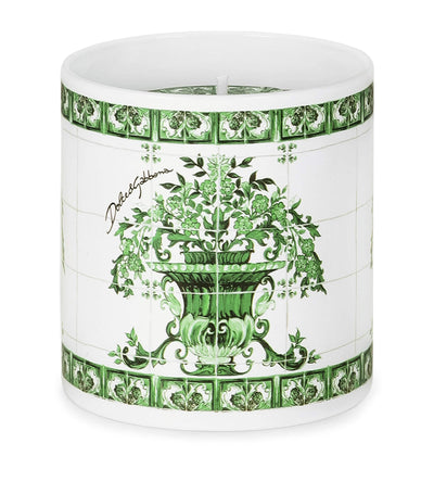 Harrods Dolce&Gabbana Casa Majolica Verde Sicilian Neroli & Lemon Scented Candle 380g- Buy online at McGrocer