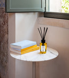 Acqua di Parma La Casa Sul Lago reed diffuser 180ml - British product