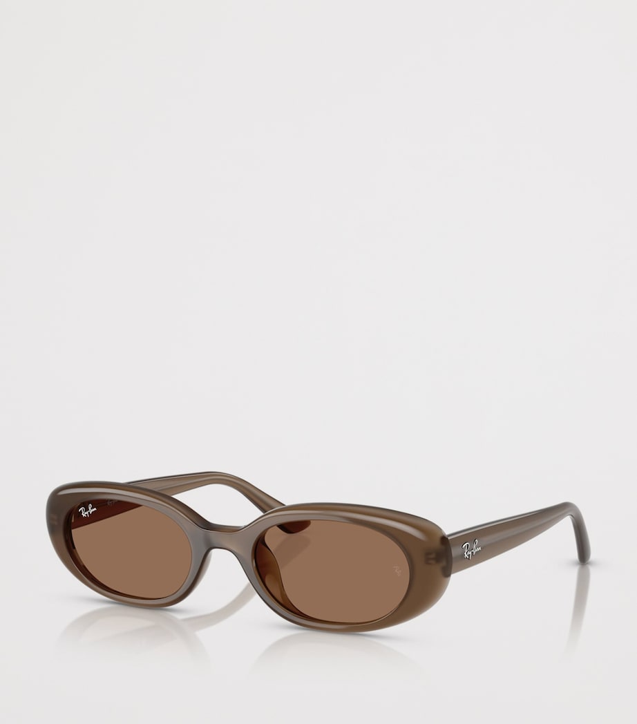 Ray-Ban Injected Oval sunglasses - British product