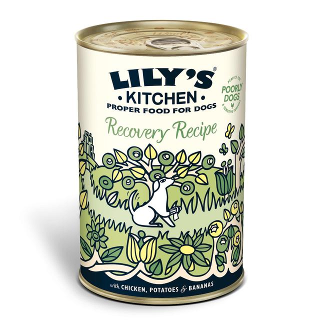 Lily's Kitchen Recovery Recipe for Dogs   400g