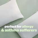 Silentnight Anti Allergy Front Soft Pillows 2 Pack (British brand)