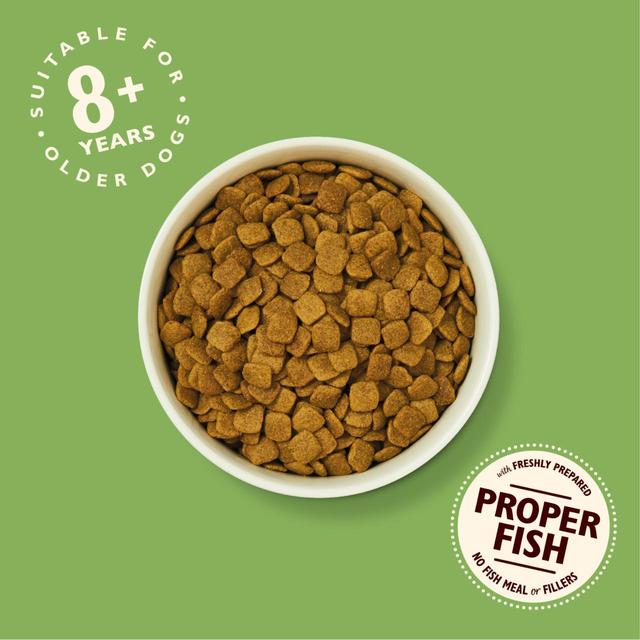 Lily's Kitchen Dog Turkey & Trout Senior Recipe Dry Food   1kg GOODS M&S   