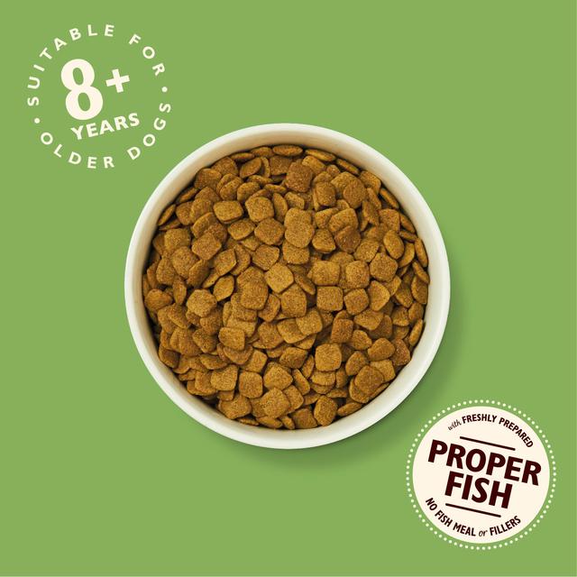 Lily's Kitchen Dog Turkey & Trout Senior Recipe Dry Food   2.5kg GOODS M&S   