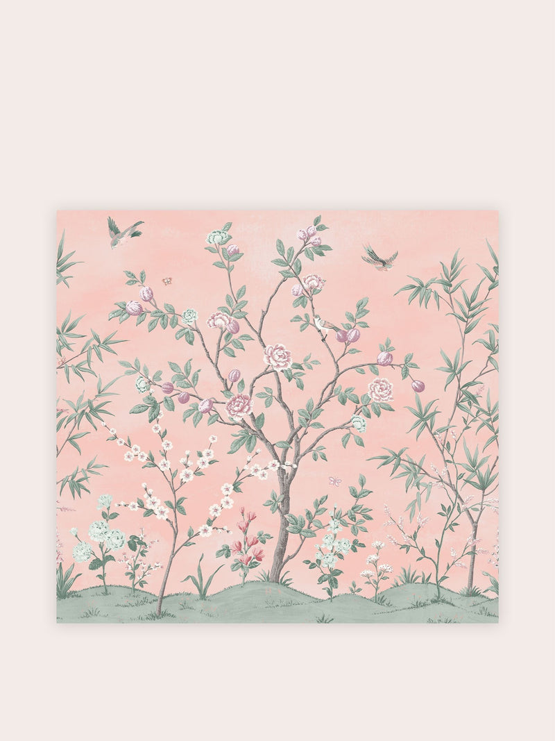 Laura Ashley Blush Eglantine 3M veggtapet (britisk merke)