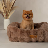 Scruffs Alpine Box medium pet bed 60x50cm (British brand)