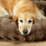 Scruffs Alpine Box medium pet bed 60x50cm (British brand)
