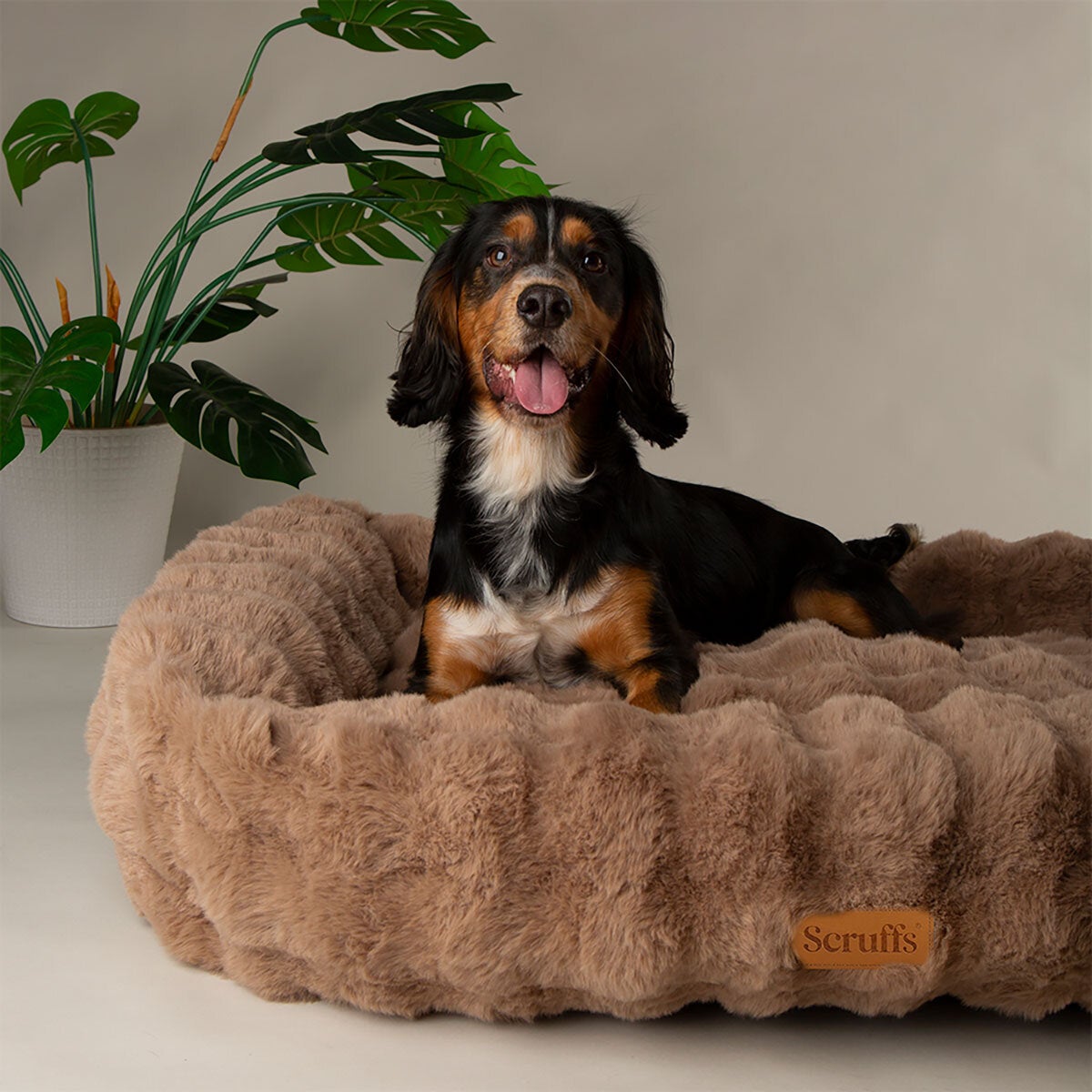 Scruffs Alpine Box medium pet bed 60x50cm (British brand)
