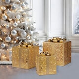 Set of 3 Battery Operated LED Holiday Boxes 41.9cm
