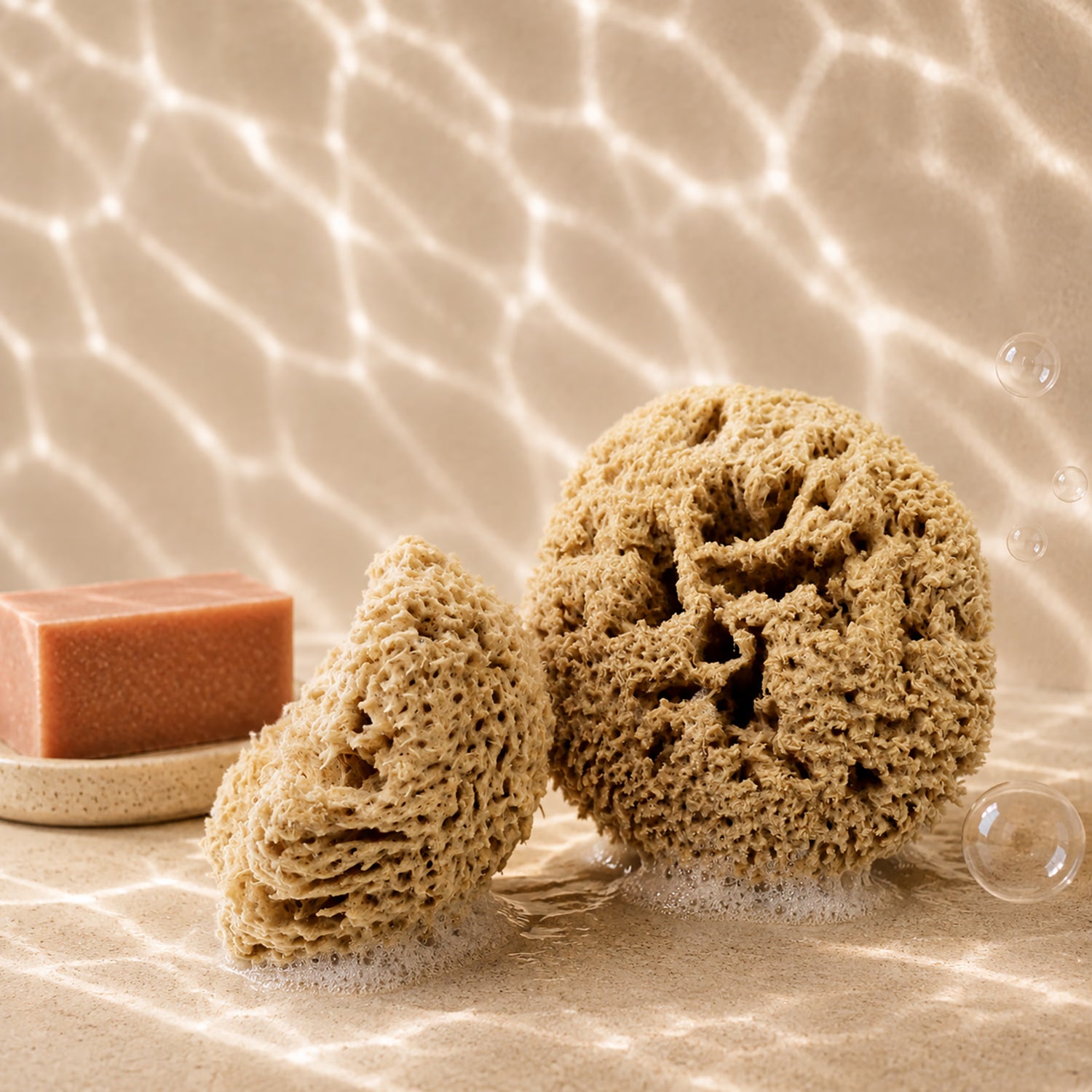 SpongeBox natural sea sponge 6-6.5 inches (British brand)