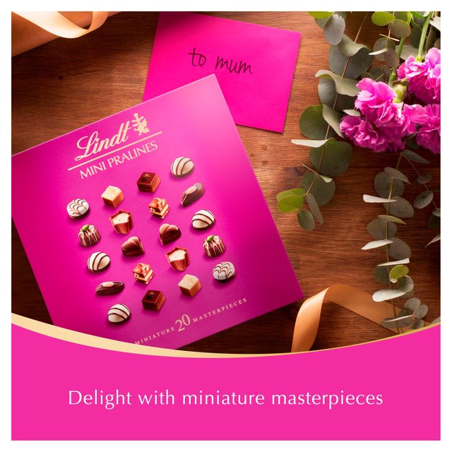 Lindt Mini Pralines Selection   100g GOODS M&S   