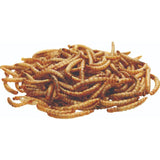 National Trust CJ Wildlife Dried Mealworms   250g GOODS M&S   