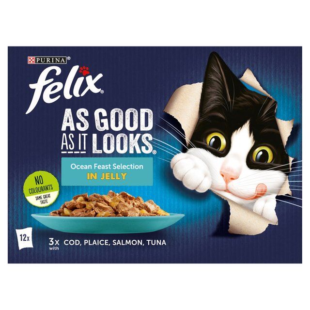 Felix As Good As it Looks Ocean Feasts Wet Cat Food   12 x 100g GOODS M&S   