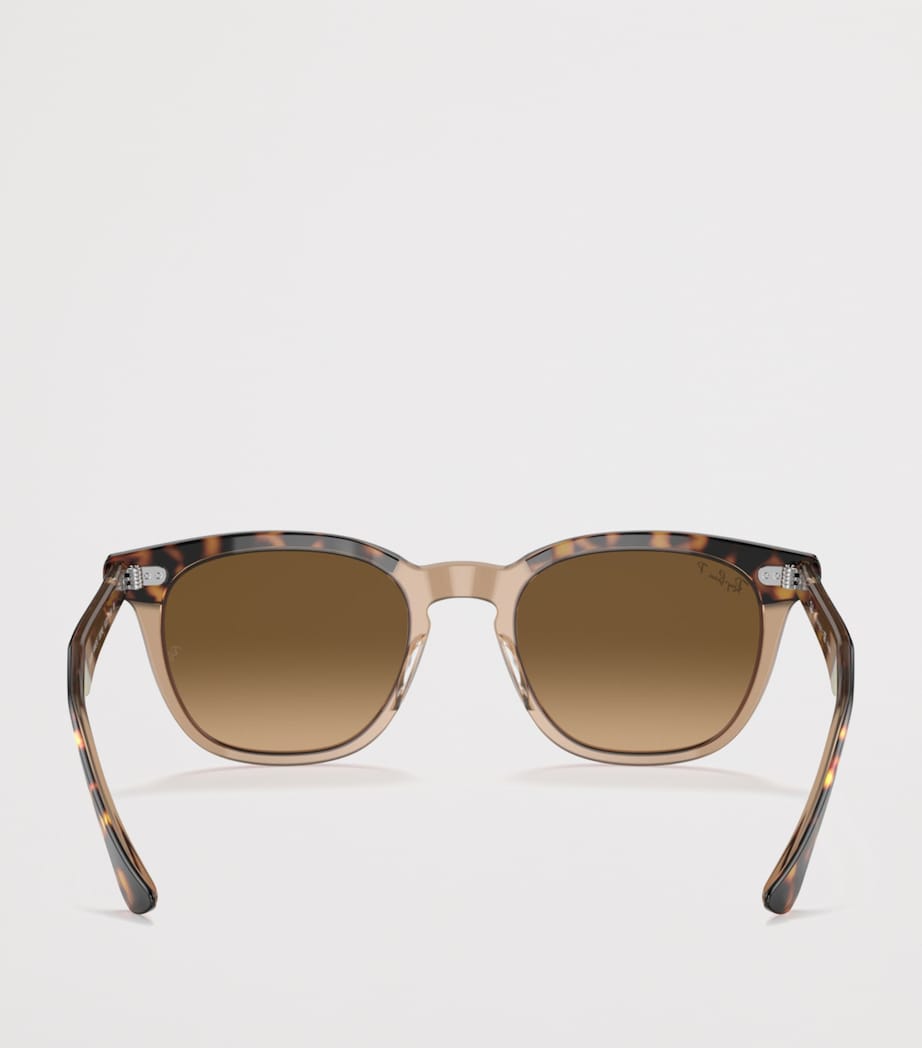 Ray-Ban Hawkeye sunglasses with acetate frame (British brand)