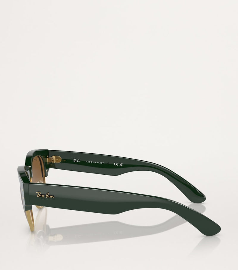 Ray-Ban Propionate 0RB0316S sunglasses - British product