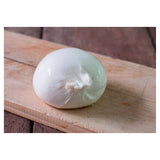 Natoora Italian Burrata   100g GOODS M&S   