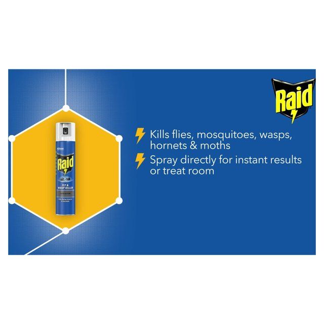 Raid Rapid Action Fly & Wasp Killer   300ml GOODS M&S   