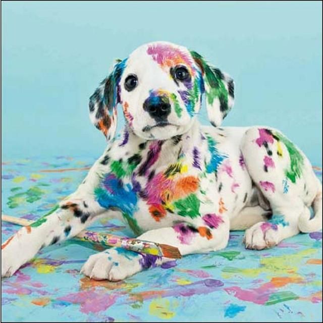 Painted Dalmation Dog Blank Card GOODS M&S   