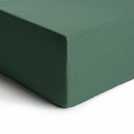 Habitat cotton rich leaf green fitted sheet double, UK version